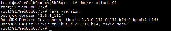 在Docker中安装JDK