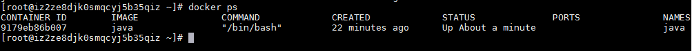 在Docker中安装JDK