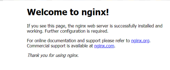 在Docker中安装Nginx