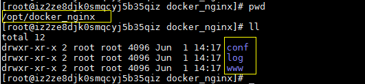 在Docker中安装Nginx