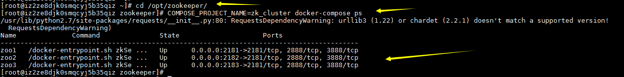 在Docker中安装Zookeeper以及集群环境搭建