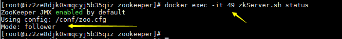 在Docker中安装Zookeeper以及集群环境搭建